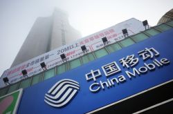 （9分钟科普下）红河哈尼族彝族自治州政府网_哔哩哔哩-2